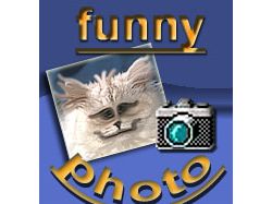 fanny photo