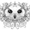 Desowl