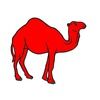 Camelus