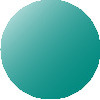 zorgsl2011