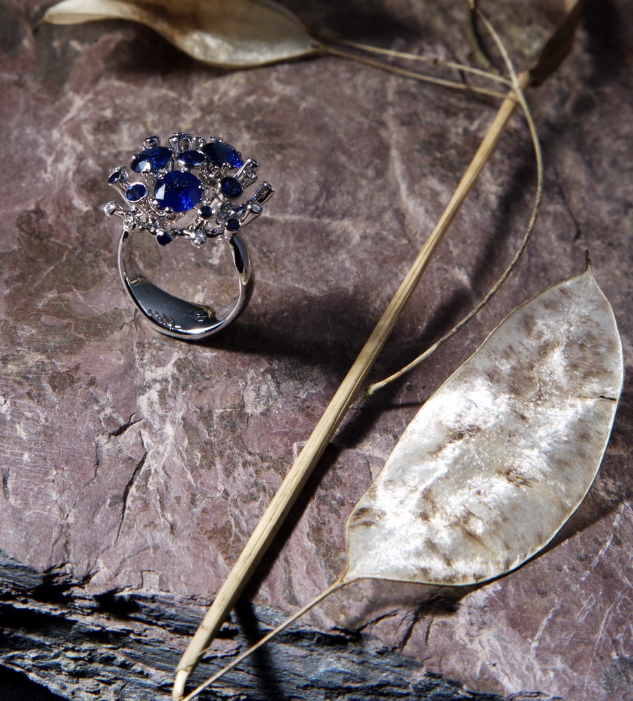 Ювелирные украшения с драгоценными камнями Jewelry.jpg