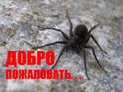 Плакатик-приглашение...