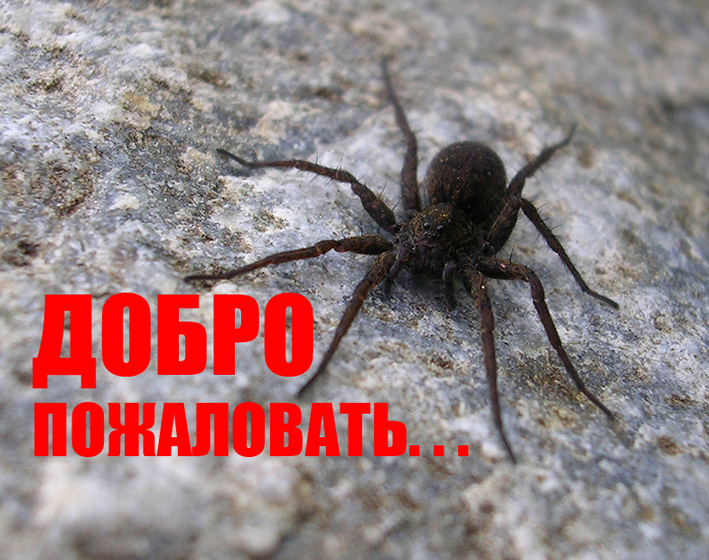 Плакатик-приглашение....jpg