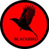 BlackBird_VD