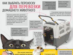 выбираем переноску