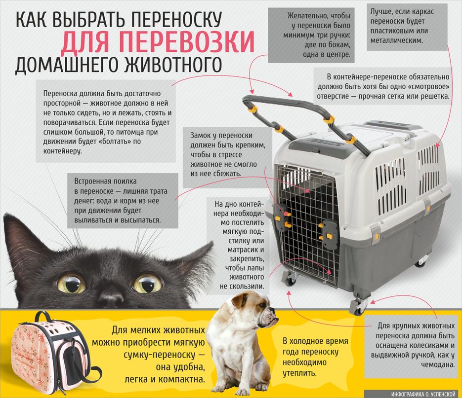переноска.png