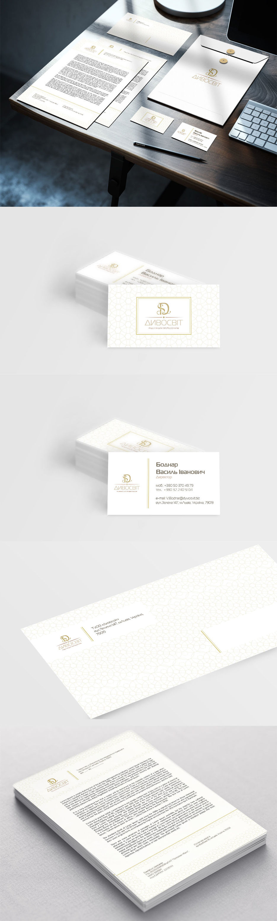 mockup-fs-divosvit-1.jpg