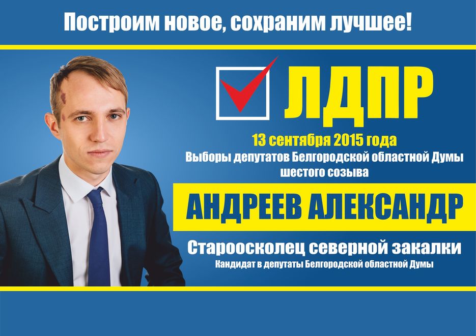 ЛДПР_А4_1пример.jpg