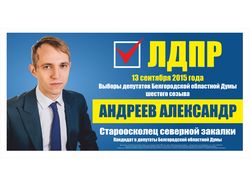 ЛДПР баннер,визитка,листовка