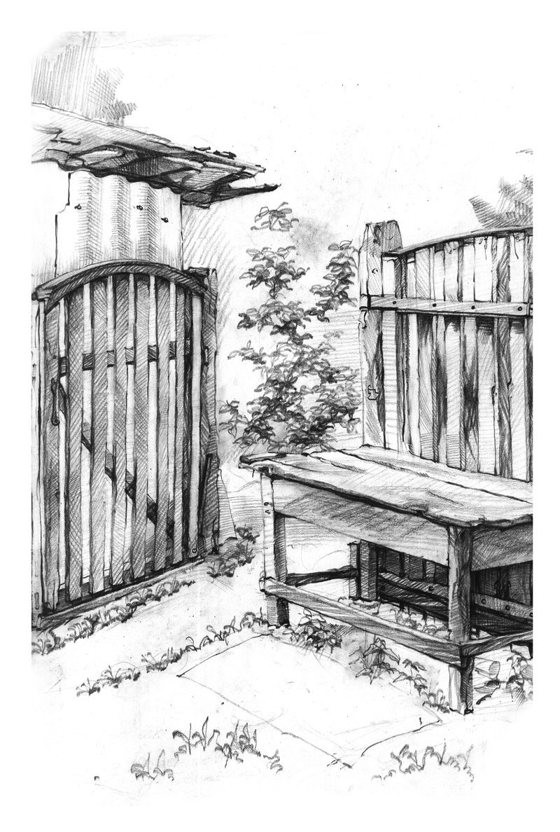 Вид со двора.jpg