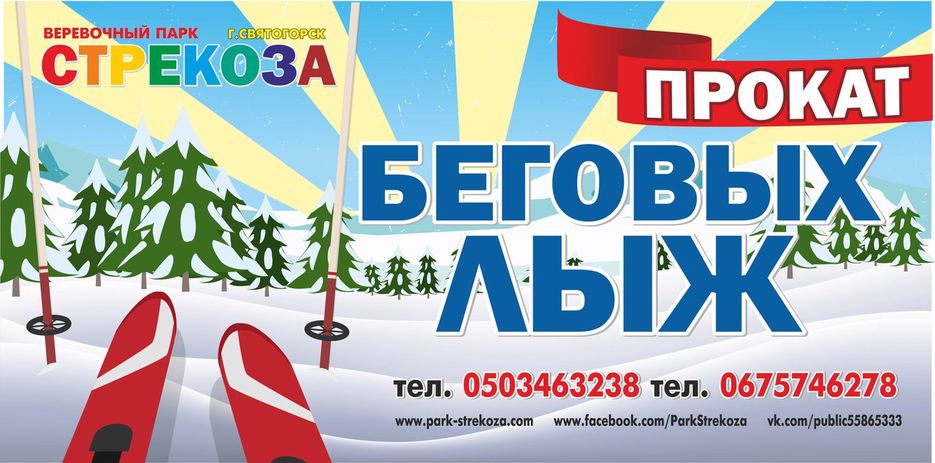 стекоза.jpg