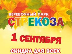 плакат А3