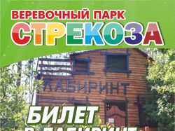 билет в лабиринт