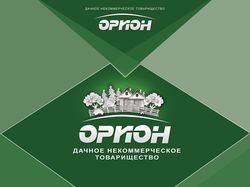 ДНТ "Орион"