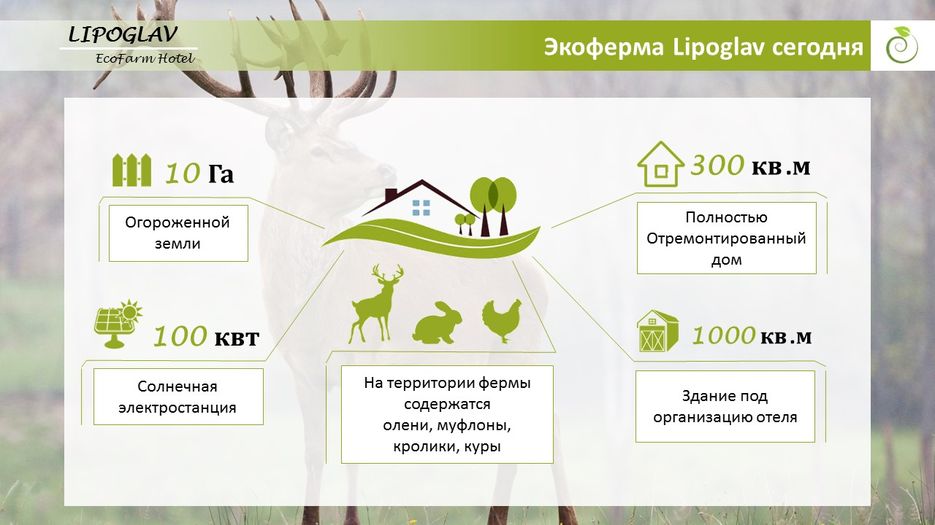 Слайд3.JPG