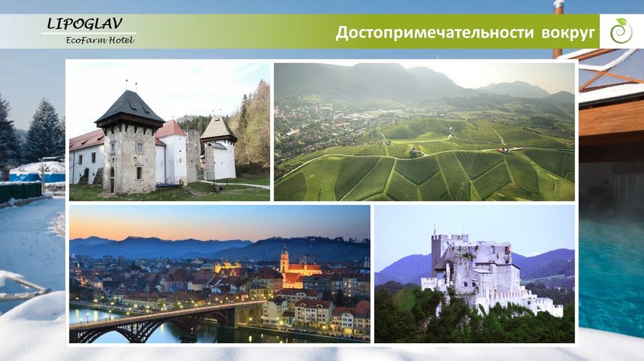 Слайд14.JPG