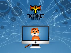 Анимационный видеоролик для TIGERNET
