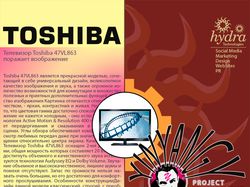 Toshiba (PR-менеджмент)