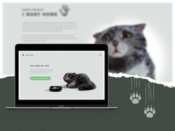 Социальный сайт о безопасности животных из приюта