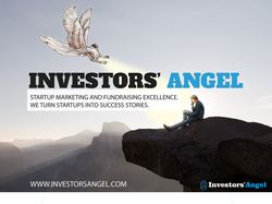 Investor Angel