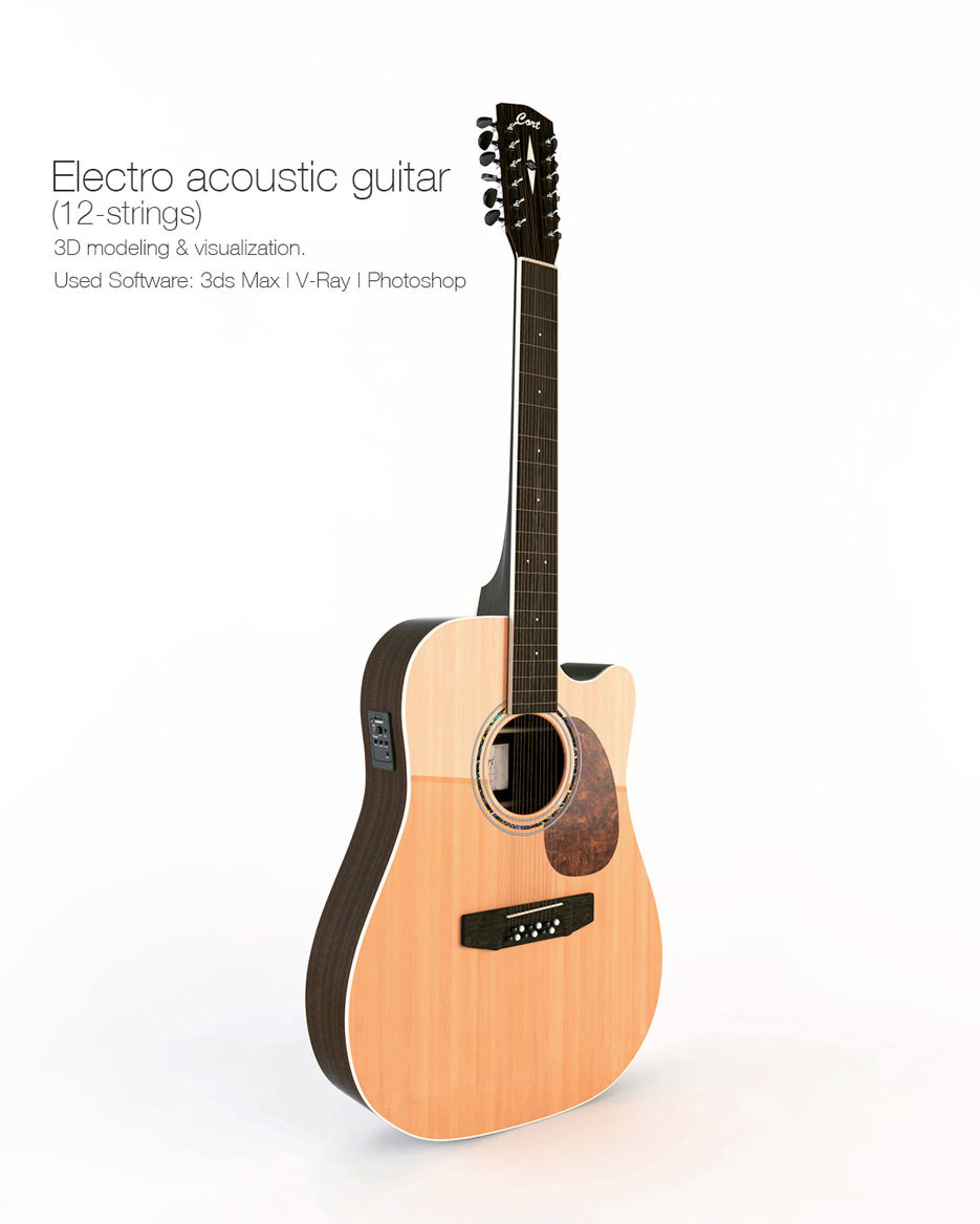 Electro acoustic guitar (12-strings).jpg