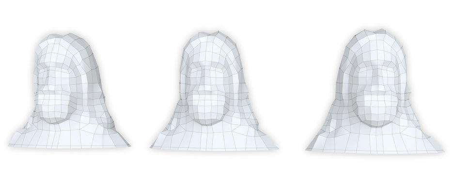 Head_zevzStatue2Wire.jpg