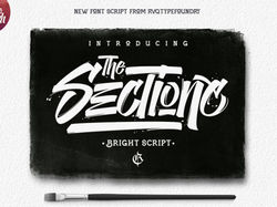 The sectione bright script