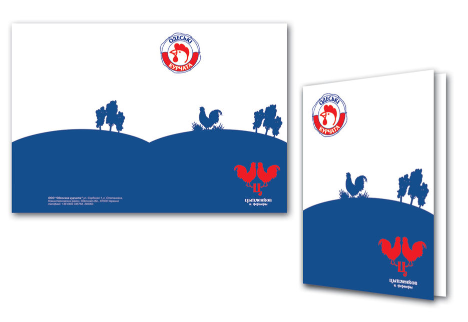 Папка для бумаг.jpg