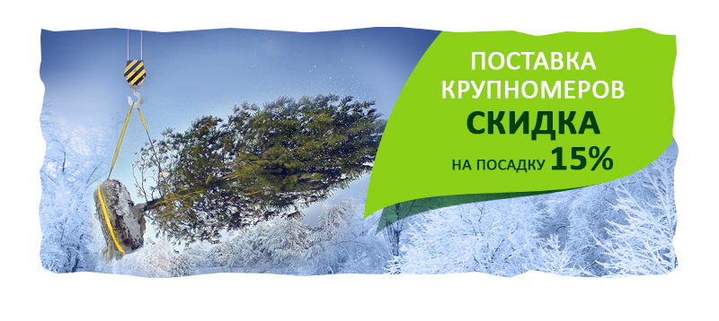 dextergreen_banner_01.jpg