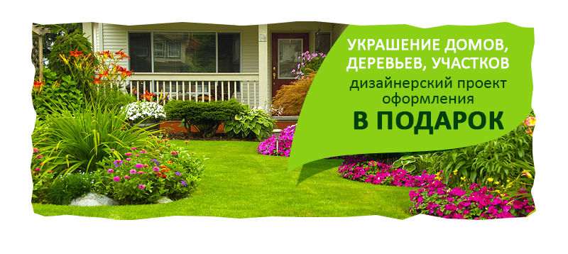 dextergreen_banner_02.jpg