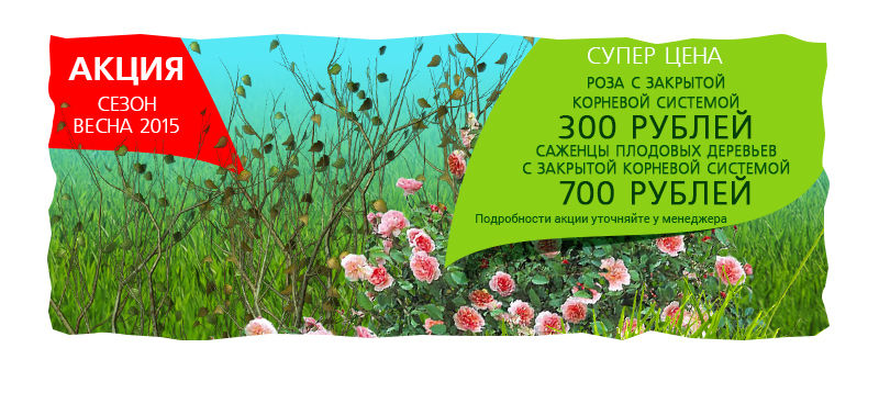 dextergreen_banner2.jpg