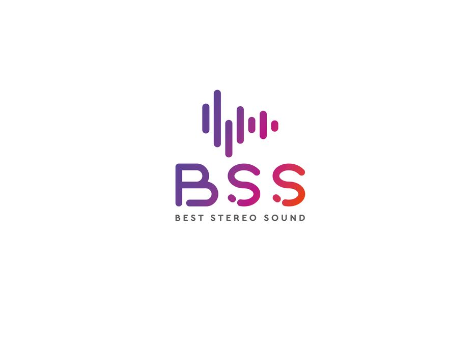 BSS-01.png