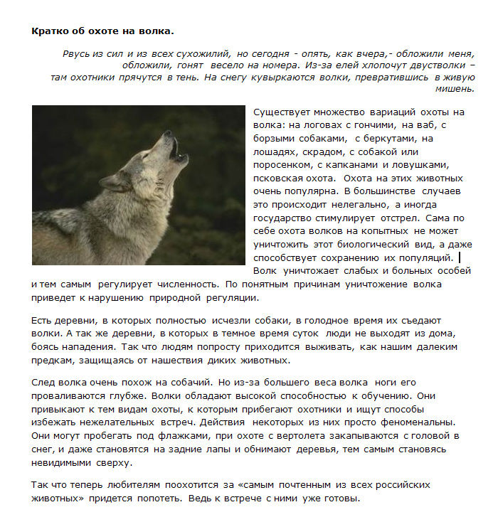 Кратко об охоте на волка.jpg