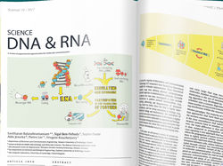 ДНК, РНК и протеины, иллюстрация для журнала