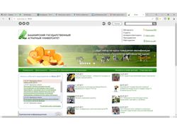 Сайт образовательного учреждения www.bsau.ru