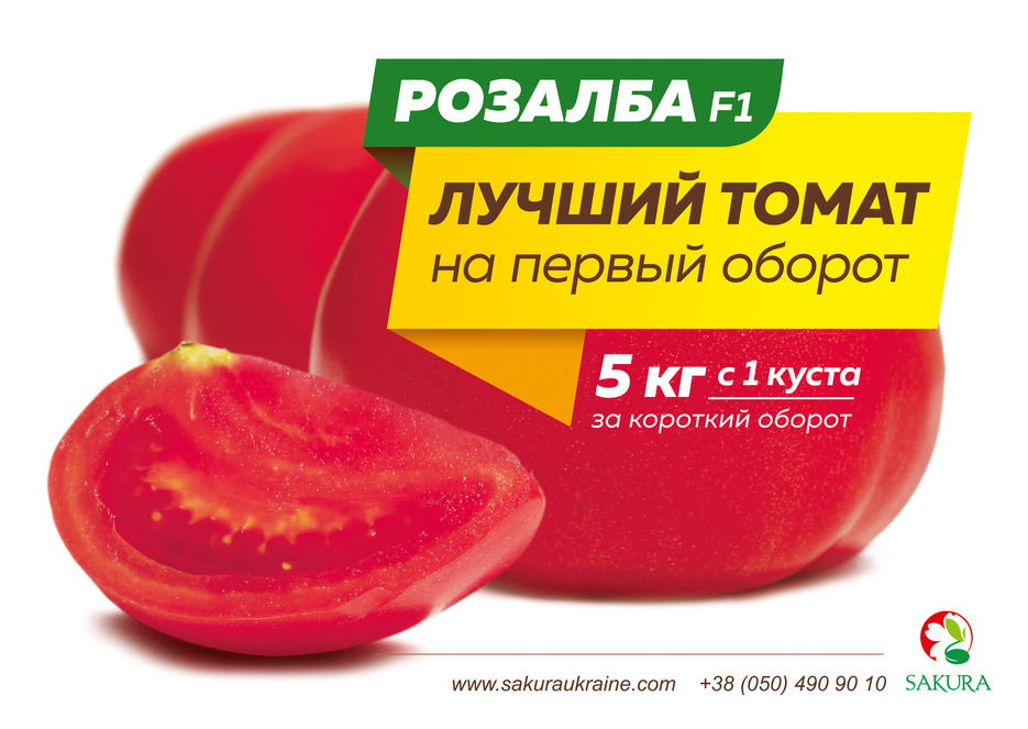 Сакура_Розалба_А5_1 сторона в печать.jpg