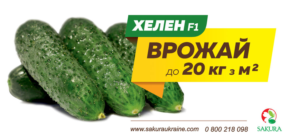 Сакура_Хелен_еврофлаер_214х103_0800 218 098_ЛИЦО.jpg