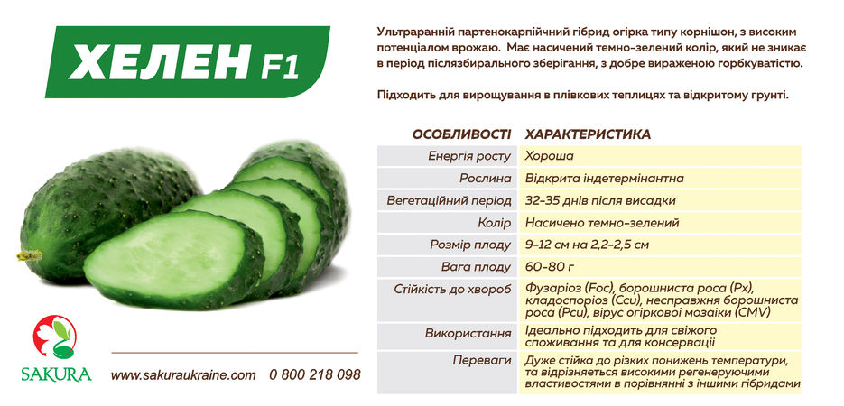 Сакура_Хелен_еврофлаер_214х103_0800 218 098_ОБОРОТ.jpg