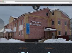Сайт www.pleseckaya.ru