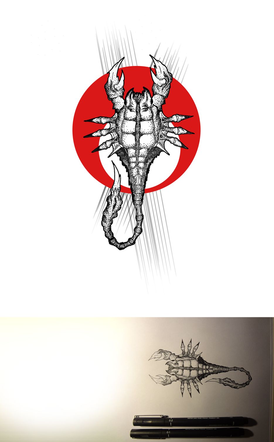 Taty skorp.png