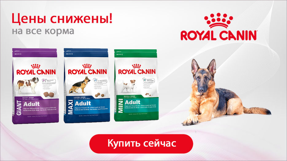 Royal-Canin-Dog1080x607.jpg