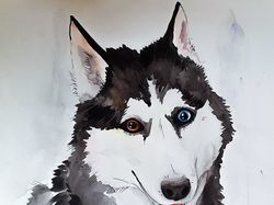 Сибирский хаски Сибирский хаски