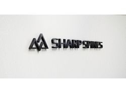 Логотип для веб-студии "Sharp Spines"