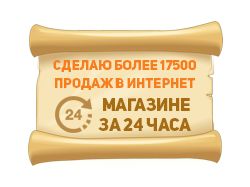 Более 17500 продаж в инет магазине за 1 день
