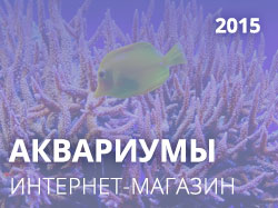 Aquarium-Style