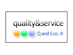 Q&s logo