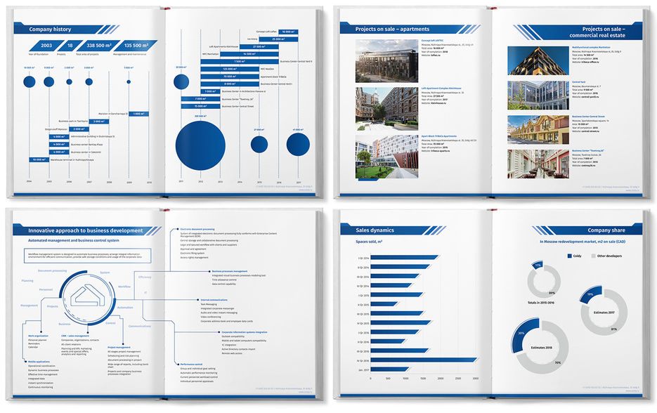 Preview Coldy brochure about financial info.jpg