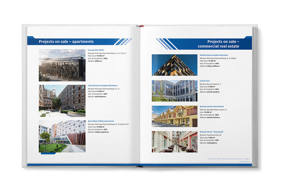 Coldy brochure about financial info 4 small.jpg