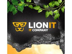 Оформление групп в соцсетях для "Lionit"