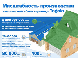 Инфографика_Tegola